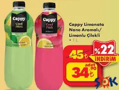 CAPPY LİMONATA ÇEŞİTLERİ 1 L fiyat ve kampanya bilgisi